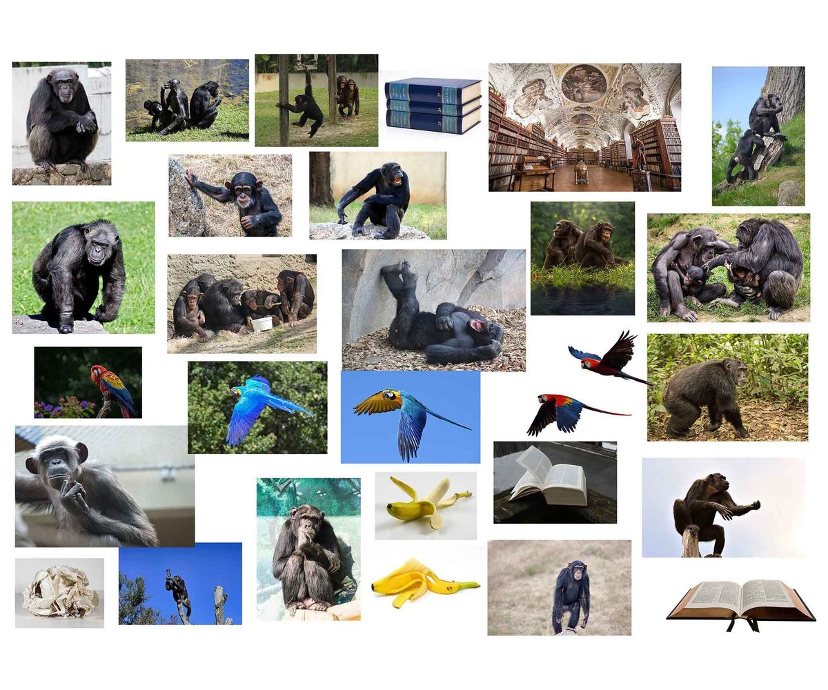 知を貪る貪欲な猿」F6号アートキャンバス | 絵画インテリアSHOP