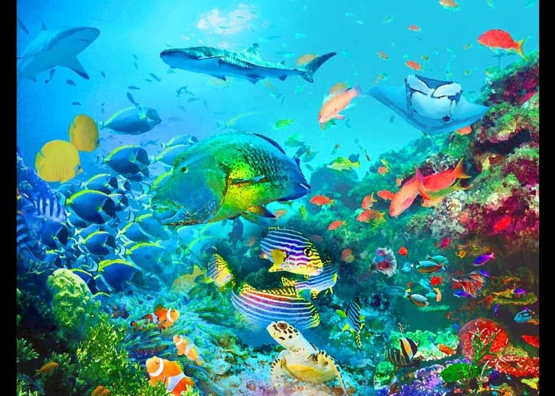 オールブルー」A4/ A3/ A2アートポスター | 絵画インテリアSHOP