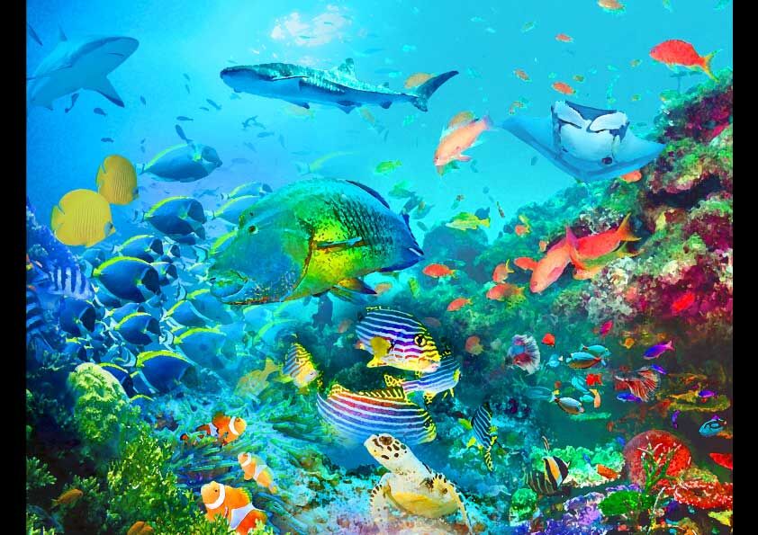 クリストファー・ウール Oh Oh アートポスター A2版 975751f194f3ce910a07f705698f45