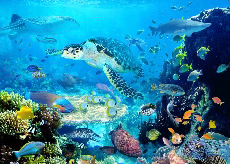 パーフェクトブルー」F6号アートキャンバス | 絵画インテリアSHOP