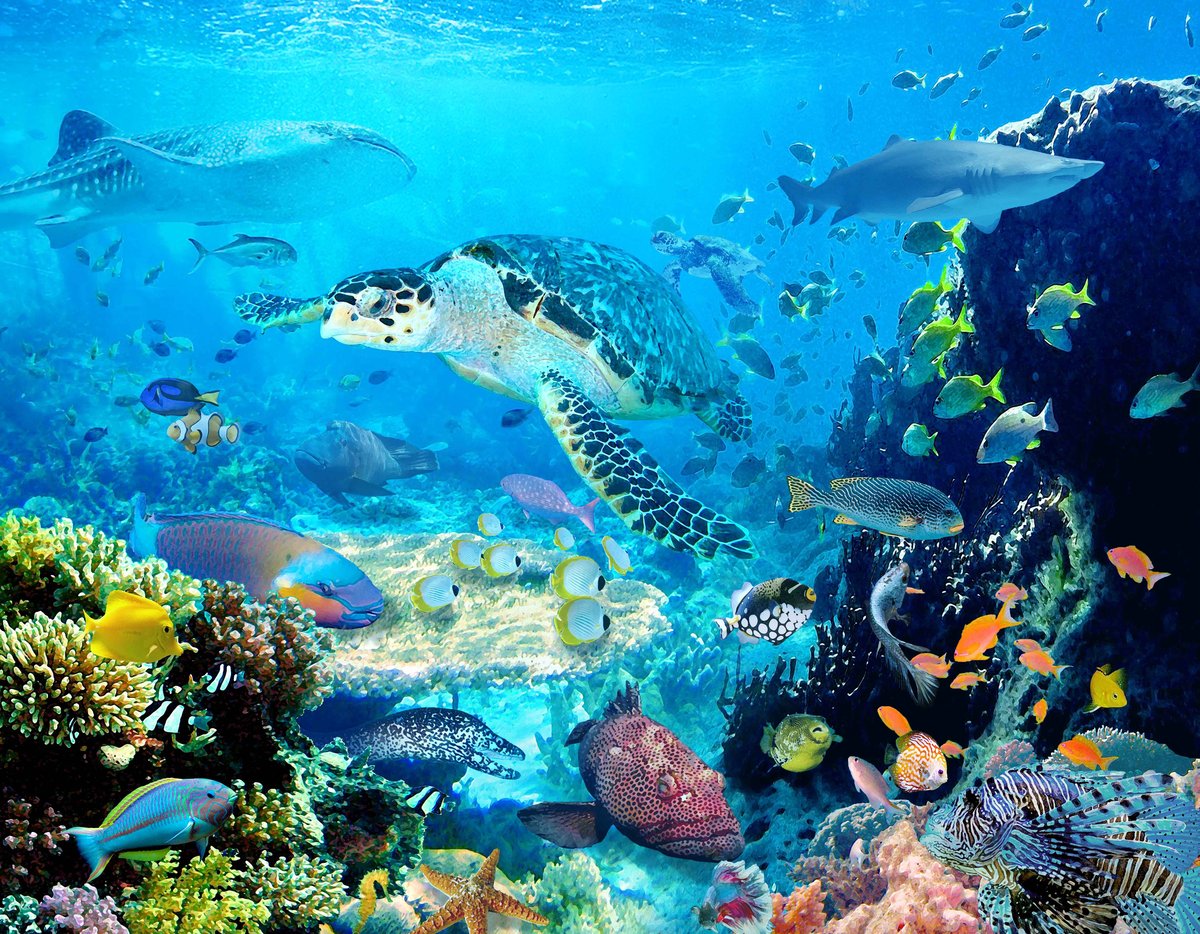 パーフェクトブルー」F6号アートキャンバス | 絵画インテリアSHOP