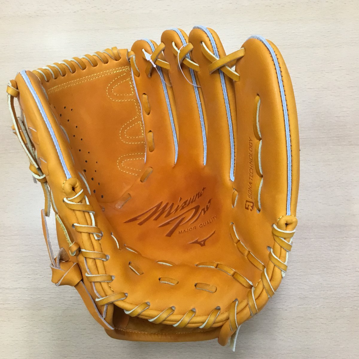 極美品】MIZUNO PRO 硬式 投手型 1AJGH22001 ミズノ プロ ミズノプロ