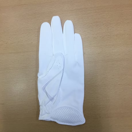 ミズノプロ守備手用手袋　左手用1EJED200