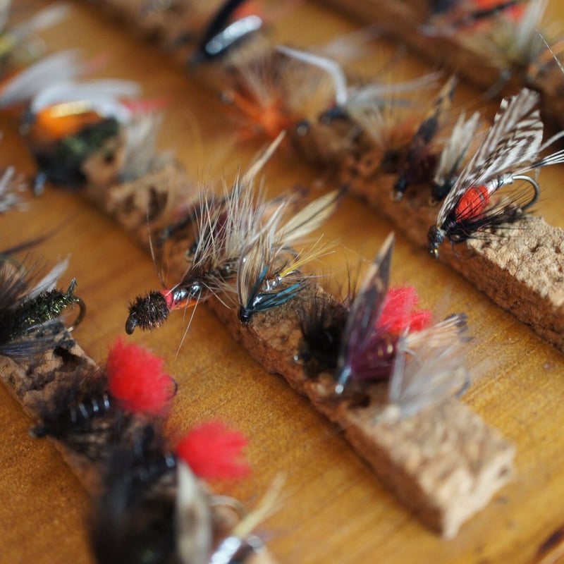 イギリスアンティーク 19世紀 フライケース ボックス フライ