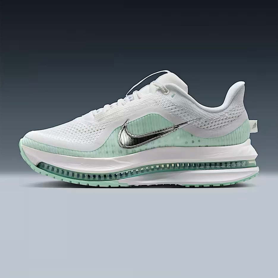 ナイキ ペガサス プレミアム 25.5（オンライン完売カラー）