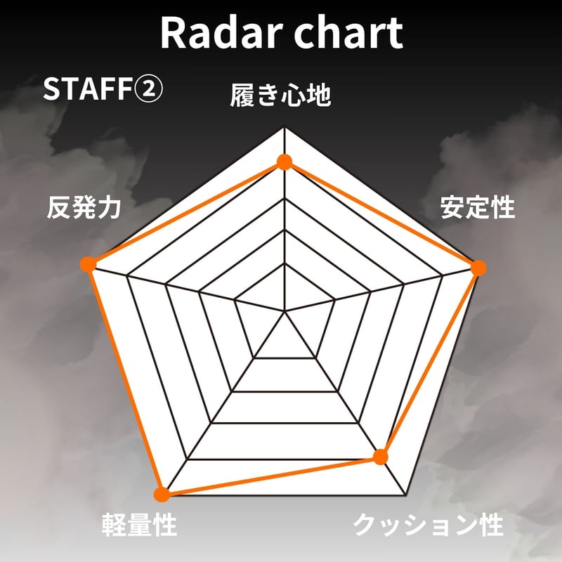 40%OFF 【FinalSALE】ナイキ ウィメンズ エアズームペガサス41（FD2723-