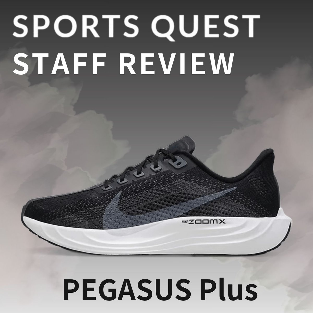 30%OFF 【WINTER SALE】ナイキ ペガサスプラス（ FQ7262-009）※送料