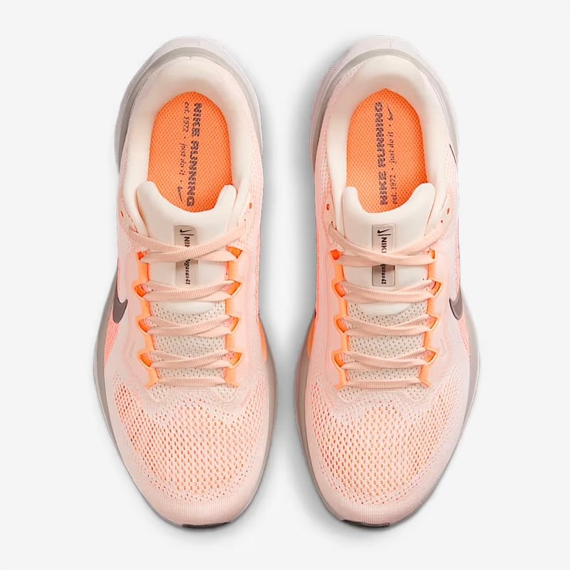 30%OFF 【WINTER SALE】ナイキ ウィメンズ エアズームペガサス41（FD272