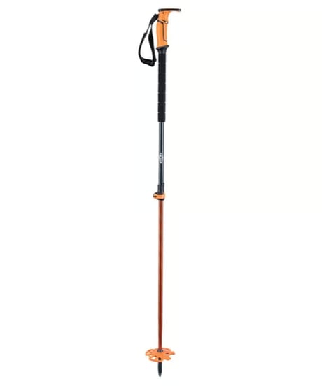 CATEGORY Pole for SKI（スキーポール） | 4-Ride Online Shop
