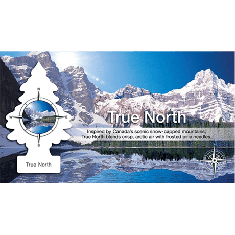 True North（トゥルー・ノース）