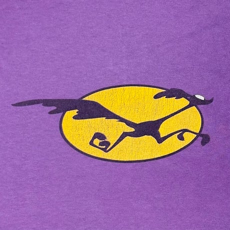 LOONEY TUNES ROAD RUNNER DOUBLE SIDE PURPLE DELTA XL 4423