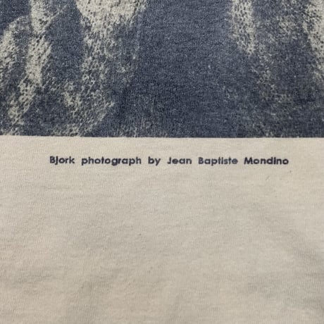 Bjork PHOTOGRAPH NATURAL FRUIT OF THE LOOM LARGE 4505