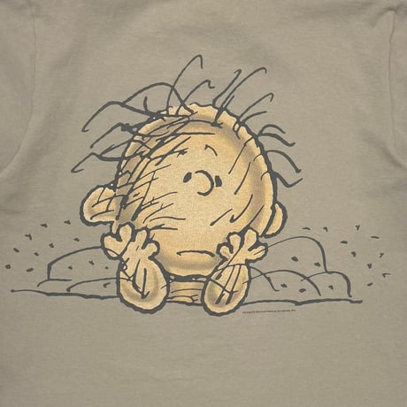 PEANUTS CHARLIE BROWN PIGPEN MESSWEWAR BEIGE CHANGES LARGE 6869