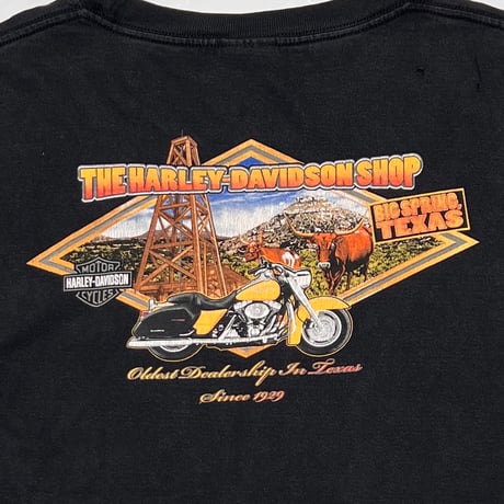 HARLEY DAVIDSON OLD ENGLISH LOGO MONOCHROME SLEEVE FLAME TEXAS LS XL 0742