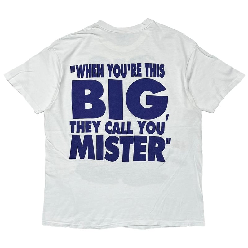 MR BIG WHEN YOU'RE THIS BIG THEY CALL YOU MISTE