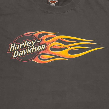 HARLEY DAVIDSON FLAME CIRCLE LOGO BARTELS LARGE 7411