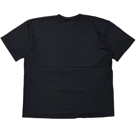 HARLEY DAVIDSON	PAINTTING RIDER PAUL SMITH BLACK LARGE 5453