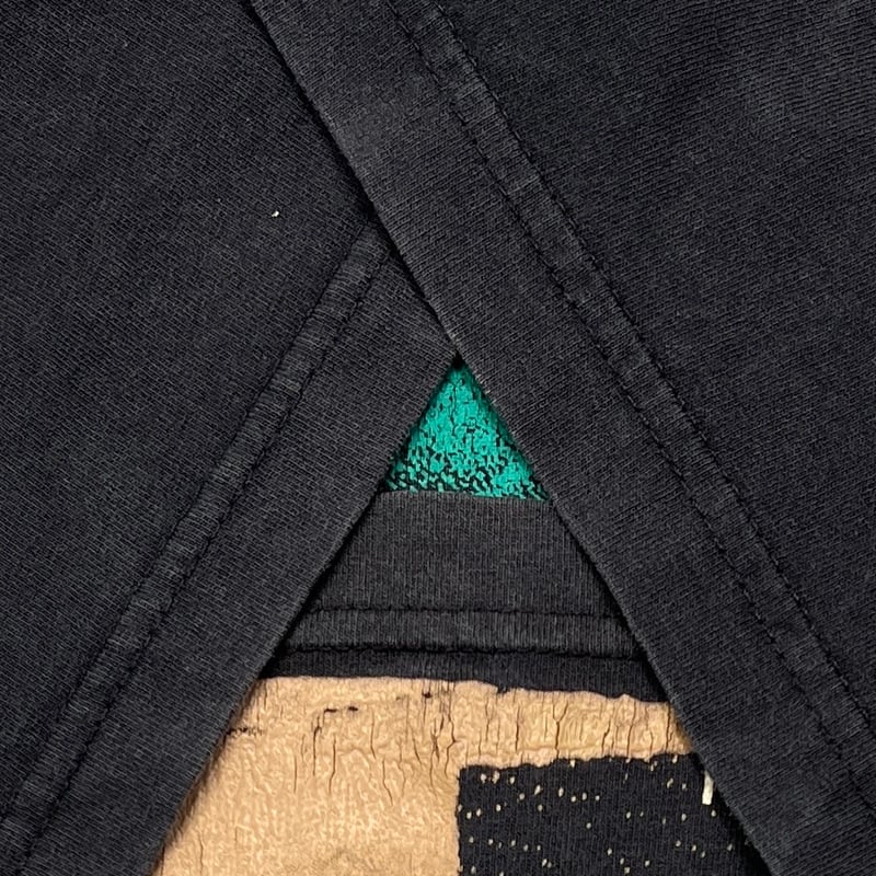 NIRVANA KURT COBAIN THE DEATH OF A HOMETOWN ANT