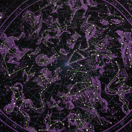 LIQUID BLUE GALAXY OVP PURPLE FITS XL-XXL 7425