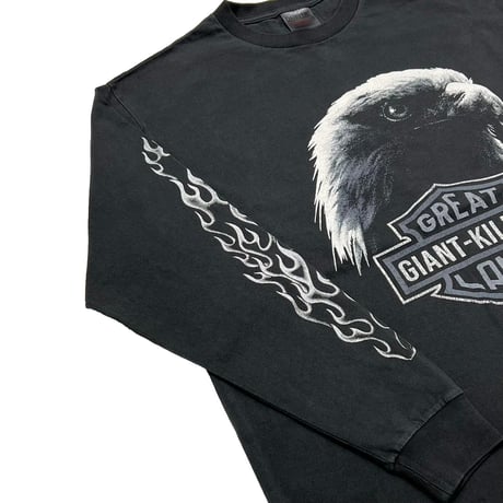 greatLAnd ORIGINAL KIMERA HD LS × ONEITA 5YEARS