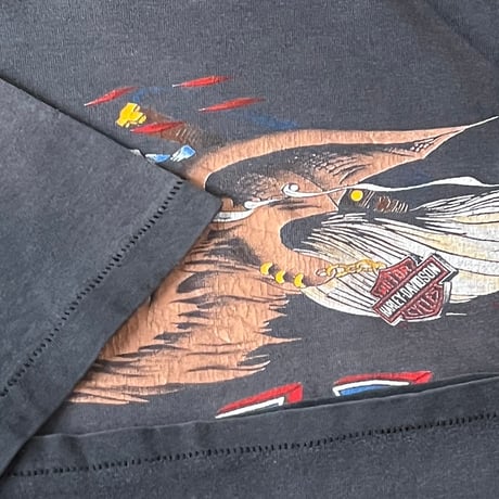 FADE is BEAUTIFUL [No.13]  HARLEY DAVIDSON HAWG WILD HANES LARGE 16682
