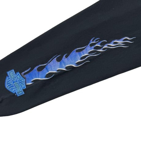 HARLEY DAVIDSON	BLUE FLAME LOGO OGDEN UTAH LS LARGE 5370