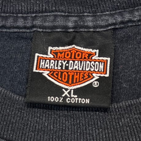 HARLEY DAVIDSON 90S FLAMING EAGLE XL 0960