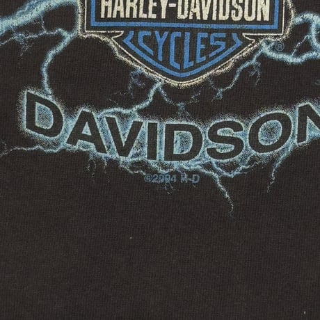 HARLEY DAVIDSON BLUE LIGHTNING THUNDER EMBLEM LS FITS XL 7395