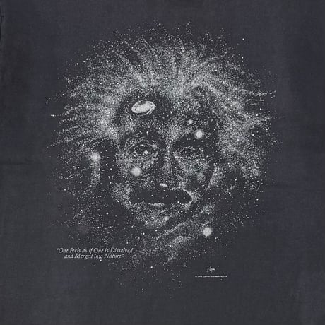 ALBERT EINSTEIN 1993 SPACE ONE FEELS AS IF ONE IS DISSOLVED AND MERGED INTO NATURE LARGE 7417