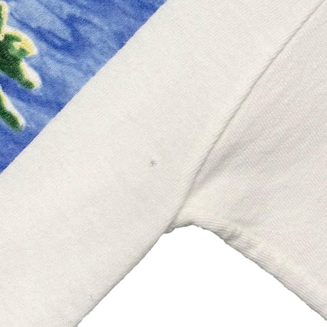 NIRVANA Y2K NEVERMIND 2002 WHITE GILDAN LARGE 8658