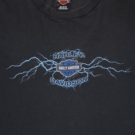 HARLEY DAVIDSON BLUE LIGHTNING THUNDER LS XL 8164