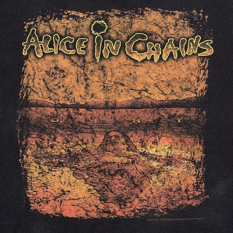 ALICE IN CHAINS 2006 TENNESSEE RIVER XL 9507