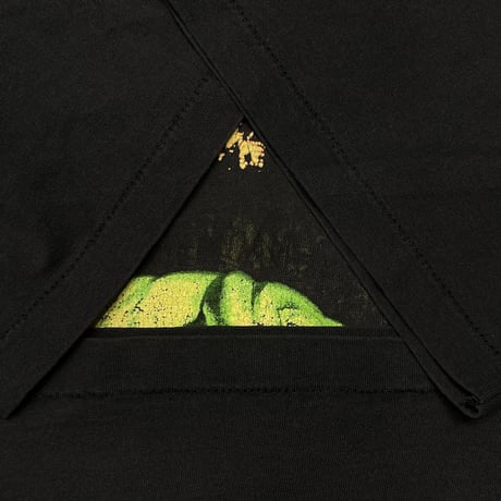 JURASSIC PARK 1993 T-REX SUNSET HANES LARGE 5630
