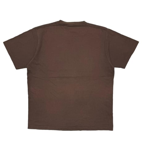 PEANUTS got dirt ? BROWN CHANGES LARGE 4571