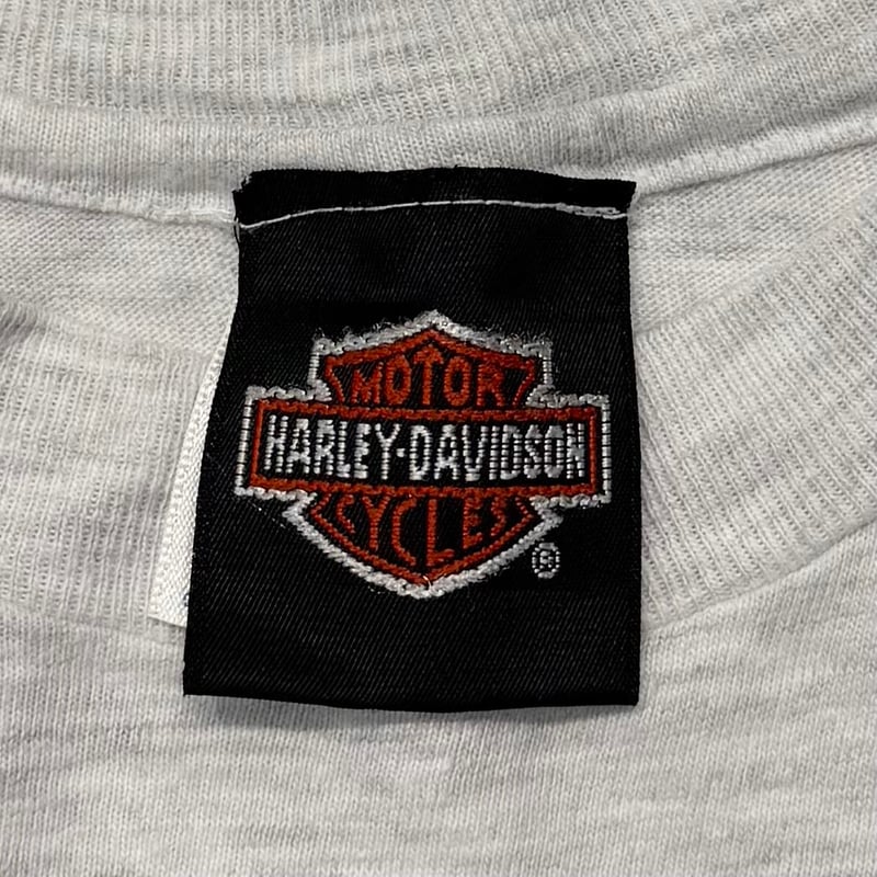 HARLEY DAVIDSON ARM BLUE FLAME TEXAS EMBLEM LS