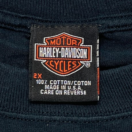 HARLEY DAVIDSON	2001 ARM BLUE FLAMING REGENCY JACKSONVILLE LS XXL 8728