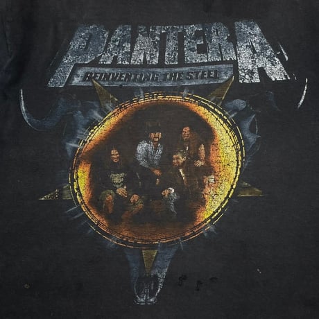 PANTERA REINVENTING THE STEEL FADED WINTERLAND LARGE 3583