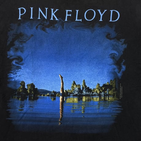 PINK FLOYD WISH YOU WERE HERE BROCKUM LARGE 8106