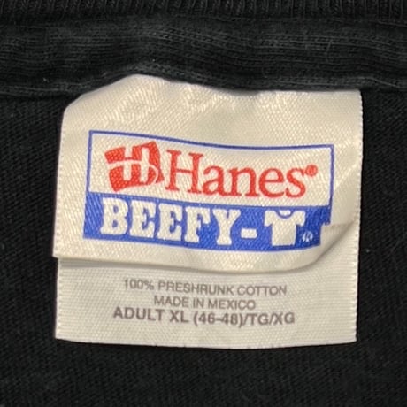 Apple 00s CENTER LOGO HANES XL 5102