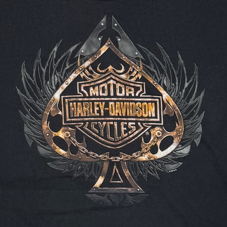 HARLEY DAVIDSON	2008 BROTHERS' METAL CHAIN BRANFORD LS XXL 2511