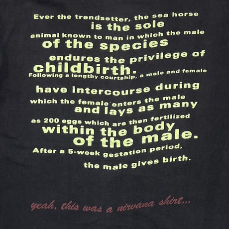 NIRVANA COME AS YOU ARE SEA HORSE GIANT XL 2392