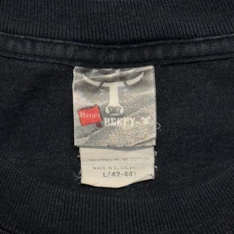 Apple apple. com LOGO DOUBLE SIDE Hanes LARGE 7801