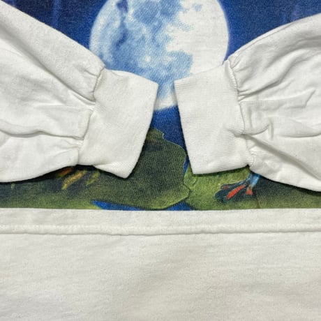 Budweiser 1995 FROG ERERER LS WHITE HANES XL 4228