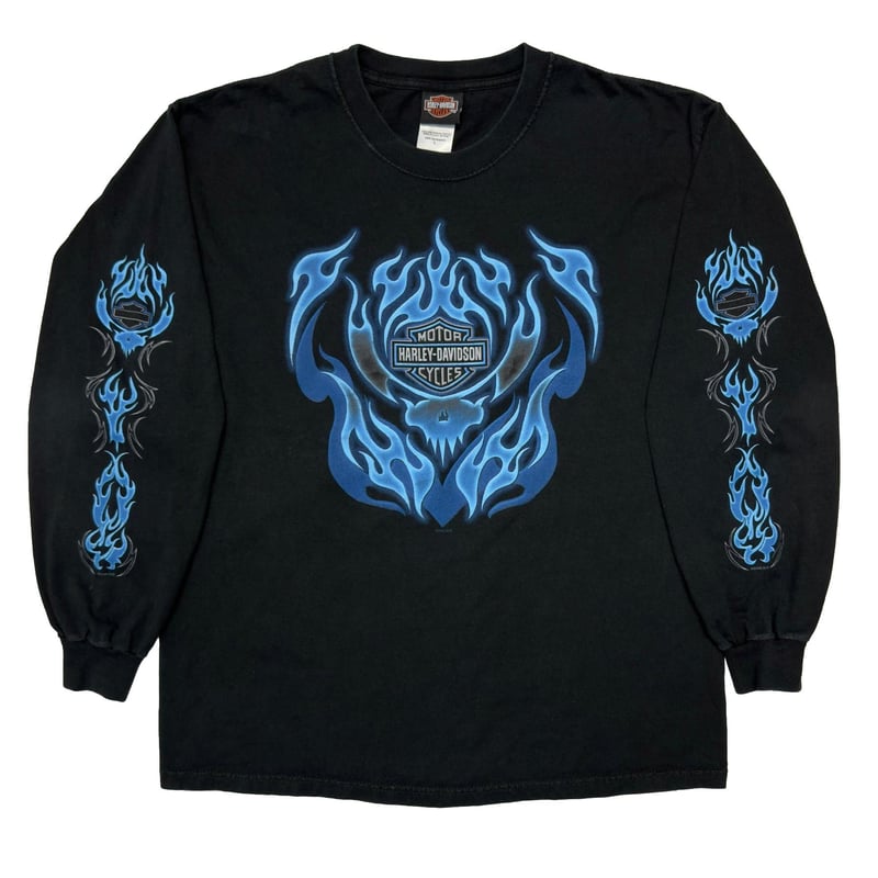 HARLEY DAVIDSON 2004 BLUE FLAME SKULL LS LARGE