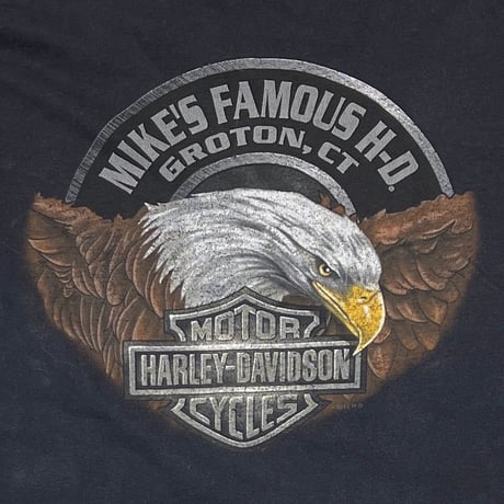 HARLEY DAVIDSON EAGLE FLAME SLEEVE LS XL 4263