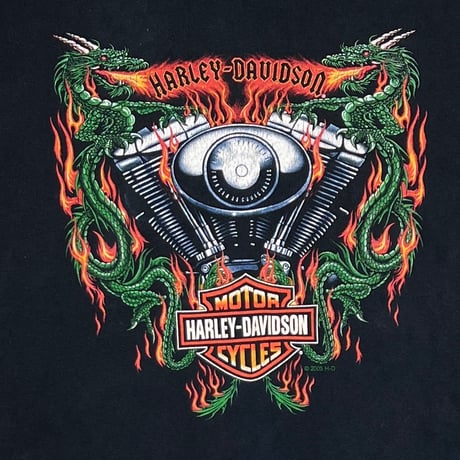 HARLEY DAVIDSON 2005 DRAGON FLAME LS XL 8166