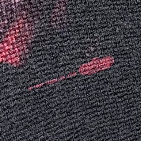 PINK FLOYD THE WALL TENNESSEERIVER LARGE 6257
