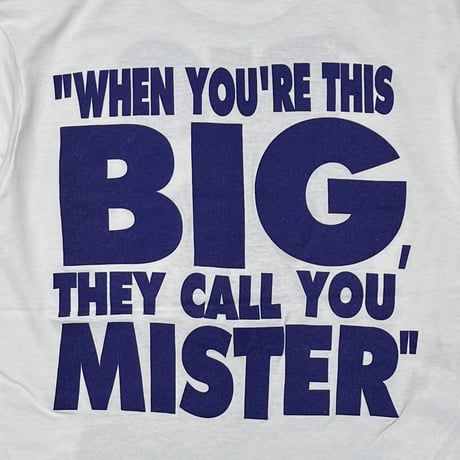 MR BIG WHEN YOU'RE THIS BIG THEY CALL YOU MISTER WHITE HANES XL 0333