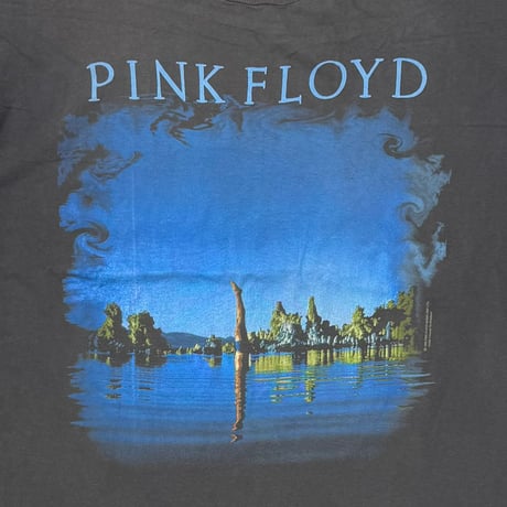PINK FLOYD WISH YOU WERE HERE BACK HAND BROCKUM LARGE 2419
