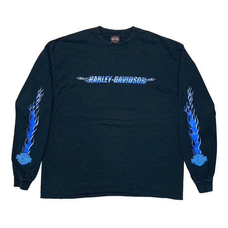 HARLEY DAVIDSON	2001 ARM BLUE FLAMING REGENCY JACKSONVILLE LS XXL 8728